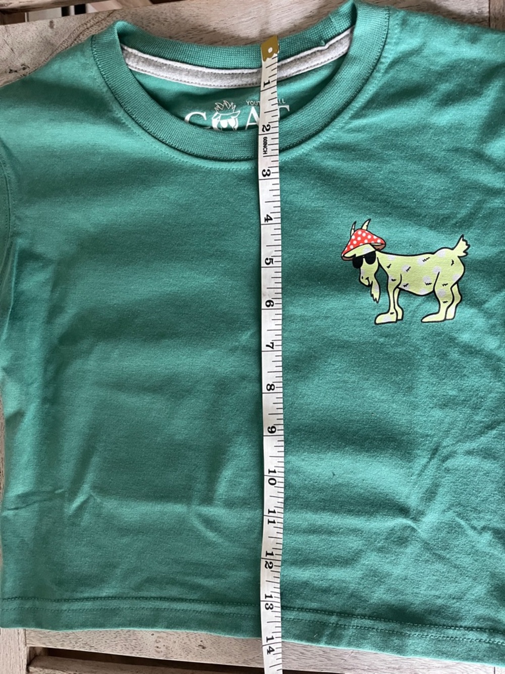 GOAT USA Kids Graphic Tee Mushroom Goat Green Youth Small YS NWT - Picture 10 of 11